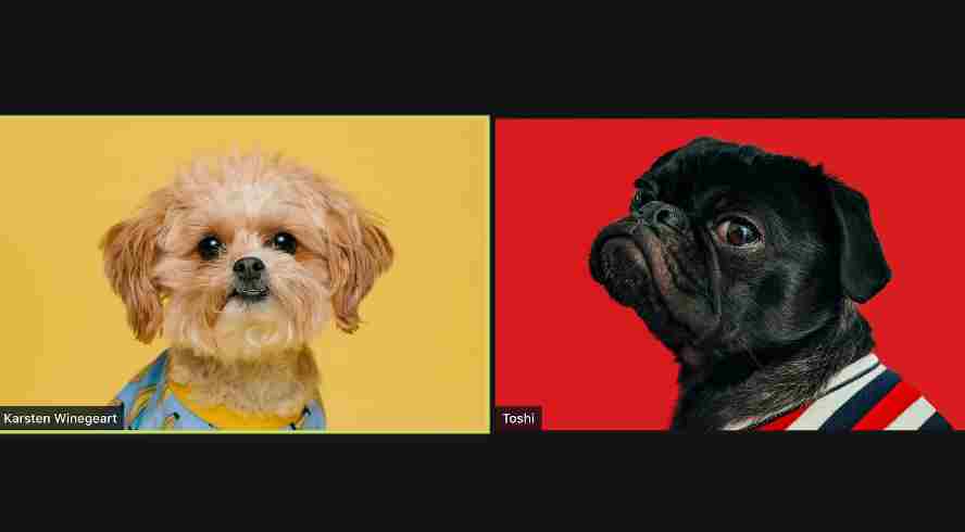 Chat Brasil: Seu Vídeo Chat Aleatório e Gratuito